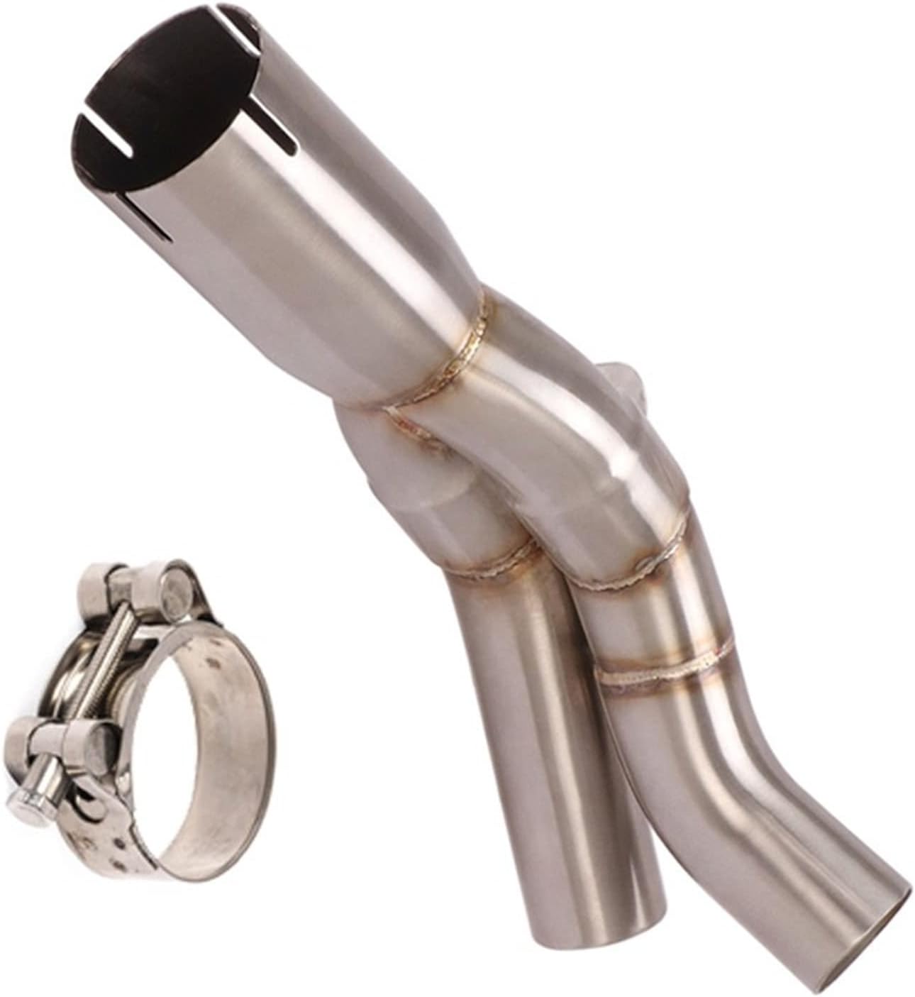 メガレア ビルベイカー ディッキア Dyckia First Cousin ⑶